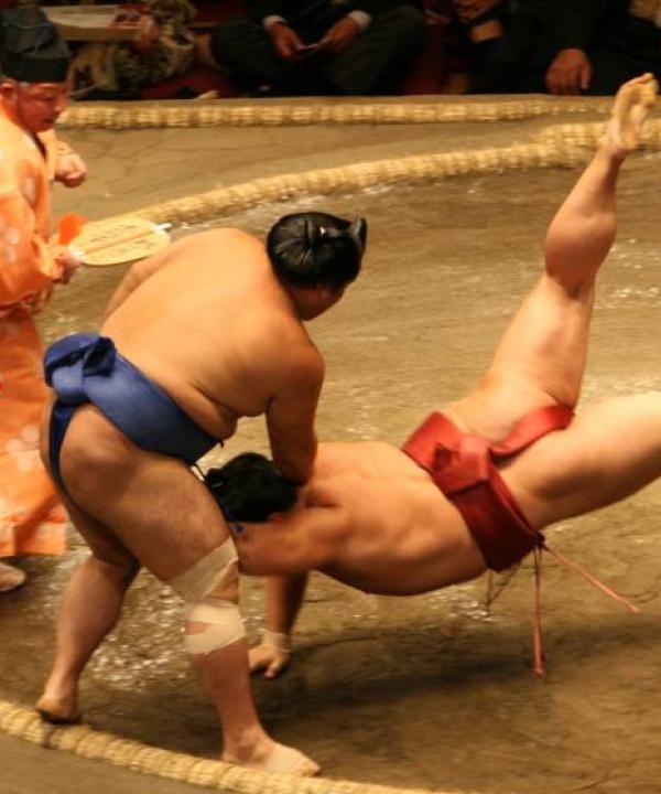 Gyakorló kurzusok már tanultak részére (K-1 szinttől H-19 szintig)